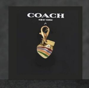 Coach Multicolor Striped Heart Keychain